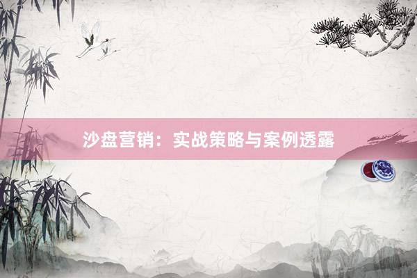 沙盘营销：实战策略与案例透露